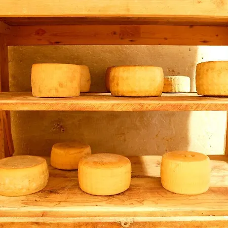 Masseria Curatori Farma *