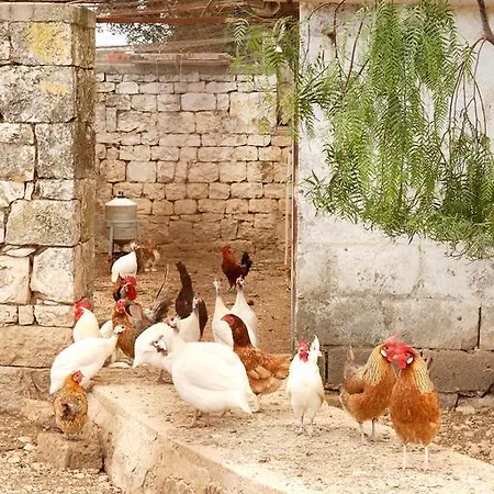 Farma Masseria Curatori