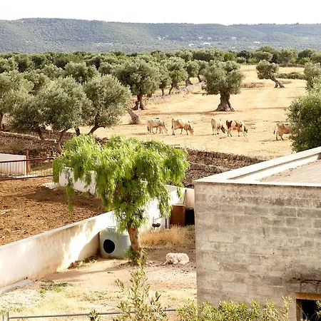 Masseria Curatori *