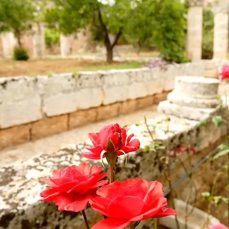 Masseria Curatori Gospodarstwo agroturystyczne Monopoli