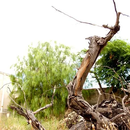 Masseria Curatori Bauernhof Monopoli