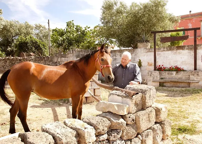 Feriegård Masseria Curatori *