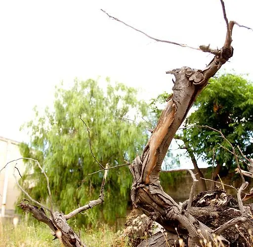 Masseria Curatori Feriegård Monopoli