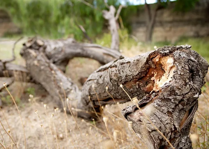 Masseria Curatori Feriegård