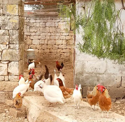 ファームステイ Masseria Curatori