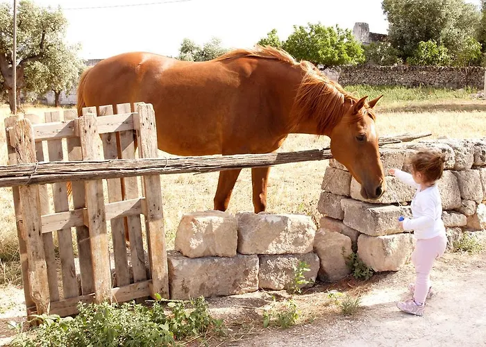 Masseria Curatori *